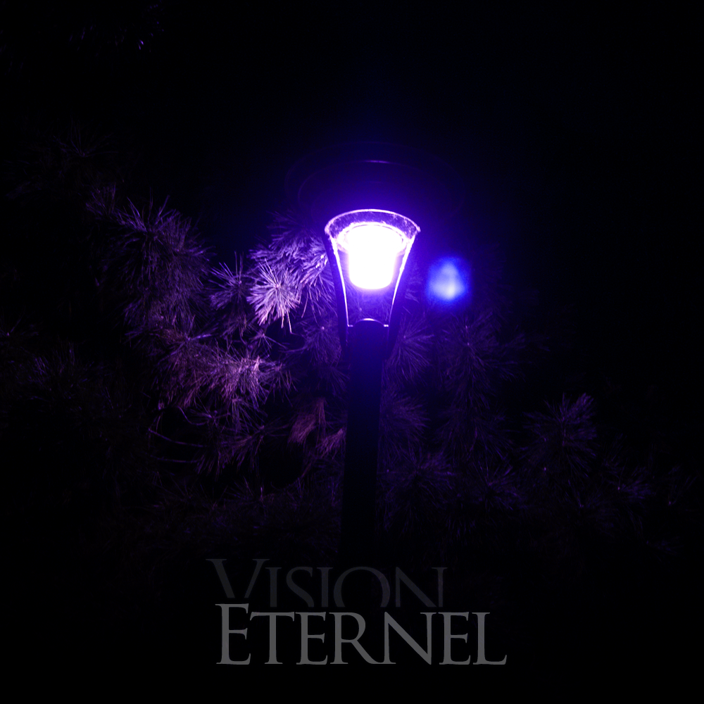 Vision Éternel split cover idea, December 10th 2010.